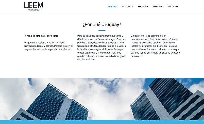 LEEM consultant