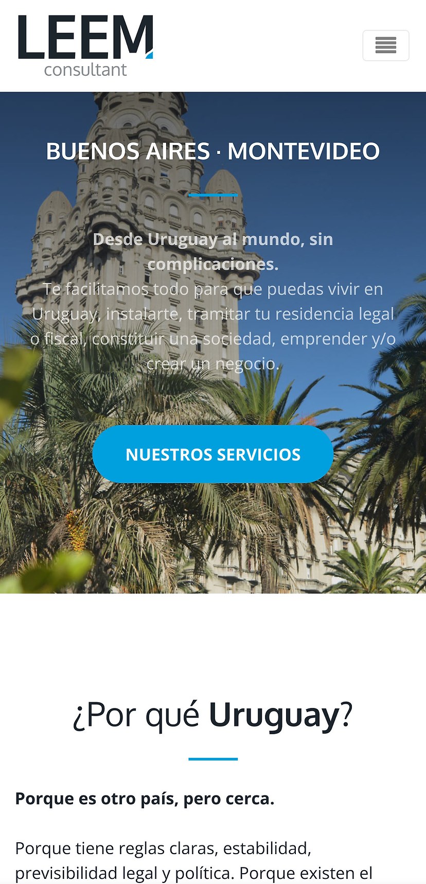 LEEM consultant