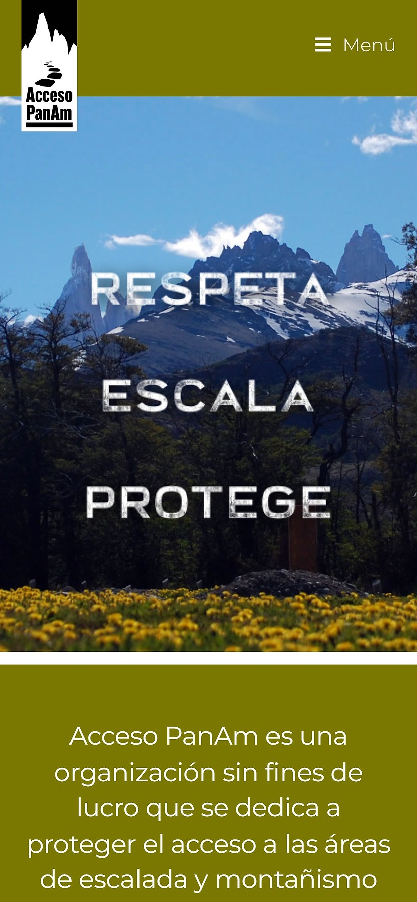 Acceso PanAm website